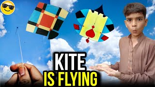 quite is flying 😲  how to do make kite [upl. by Laurence]