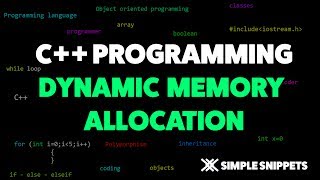 Dynamic Memory Allocation in C with Example [upl. by Aime143]