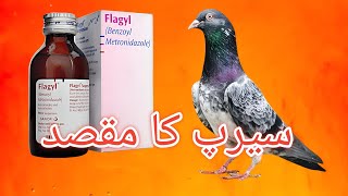 Flagyl Syrup Ka Faiyda [upl. by Hairaza]