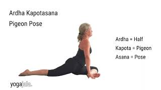 Pigeon Pose Ardha Kapotasana Sanskrit Pronunciation [upl. by Salter]