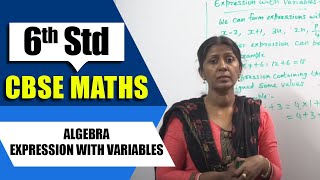 6th Std CBSE Maths Syllabus  Algebra  Expression with Variables  CBSE Maths [upl. by Inihor271]