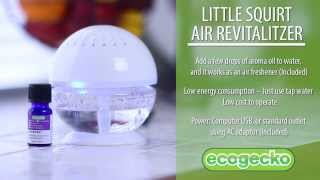 EcoGecko Little Squirt Air Cleaner amp Revitalizer [upl. by Melise]