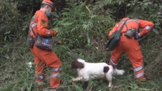 Recuperan una caja negra del avión accidentado en el sur de China [upl. by Arikahc490]