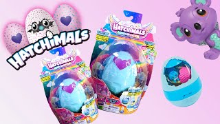 Hatchimals RainbowCation Adult Collector Review [upl. by Mandych]