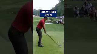 Tiger Woods INCREDIBLE recovery😱 [upl. by Vanhomrigh]