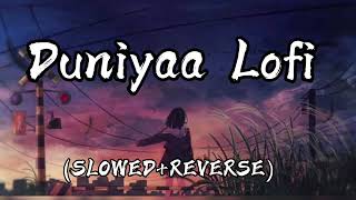 DUNIYA LOFI SONG 🌸😍  SLOWED  REVERB [upl. by Inanak]