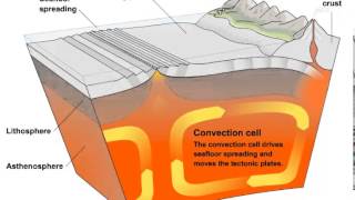 Convection Currents and Tectonic Plate Movement [upl. by Abita]