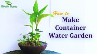 How to Make Container Water Garden  Water Garden With FishGREEN PLANTS [upl. by Ymmij28]