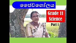 Biosphere  Science Grade 11 Sinhala medium  Part 1 [upl. by Annaiek138]