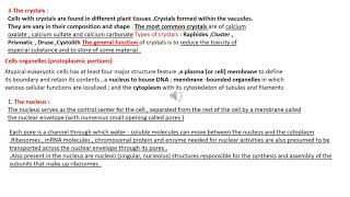 non protoplasmic and cell organelles [upl. by Meingolda]