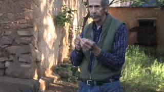 Intro to Dendrochronology  Thomas C Windes [upl. by Jacquenetta]