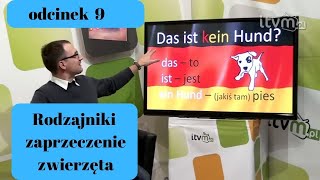 Niemiecki w parę minut 9  rodzajniki zaprzeczenie i zwierzęta [upl. by Trenna]