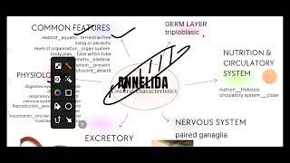 General characteristics of Annelida 11th amp NEET [upl. by Yursa]