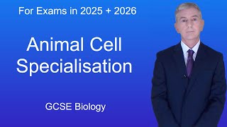 GCSE Biology Revision quotAnimal Cell Specialisationquot [upl. by Ko]