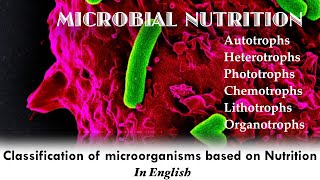 Classification of Microorganisms based on Nutritional requirements  Microbial Nutrition  English [upl. by Elleinnad]