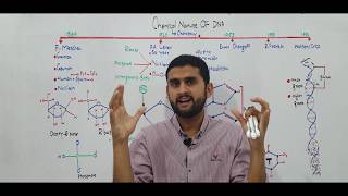 Ch20 Lec 6 Chemical Nature of DNA Fsc Part 2 UrduHindi lecture MDCAT NEET NCERT By M Bilal Ch [upl. by Vonni777]