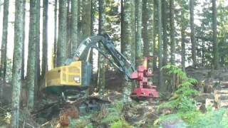 Cat® 532 Track Feller Buncher [upl. by Leveridge]