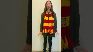 Universal Studios Hollywood Harry Potter Master of Ceremonies Audition 2024 [upl. by Tenej]