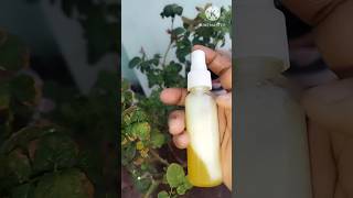 How to control aphids on plantspenu banka nivaranaytshort [upl. by Sug624]