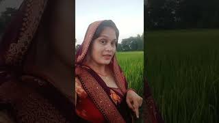 Chahat na hoti bollywood hindisong youtubeshorts viralshortstrending [upl. by Yves470]