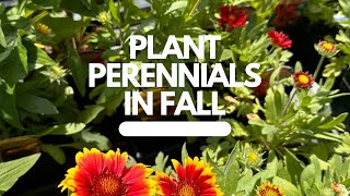 Plant Perennials in the Fall for a Head Start in the Spring [upl. by Yannodrahc]