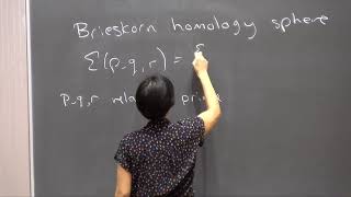 Jennifer Hom Homology cobordism and Heegaard Floer homology [upl. by Arahs128]