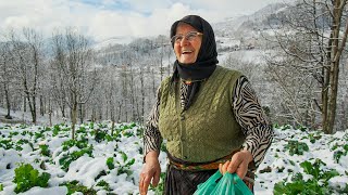 Kara Havvanın Geçmişe Ağıtı  Belgesel [upl. by Dlanigger]