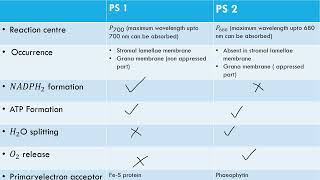 difference between photosystem 1 and photosystem 2 [upl. by Charisse]