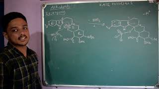 9 Total Synthesis of Reserpine through Reserpic Acid  Chemistry of Alkaloids [upl. by Ateloj]