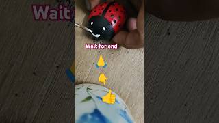 Stone art stone painting stoneart🧜shortsfeed shorts viraltrending lovereelsnature [upl. by Etnaed596]