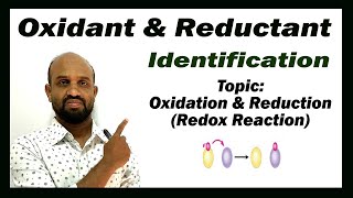 Lesson 15 Identification Oxidant amp Reductant  Topic Redox Reaction  Quantitative Chemistry [upl. by Aridatha]