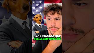 cachorro que fala inglês livedobrino humor MundinhoBrino [upl. by Charyl]