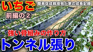 続！イチゴを育てる為のトンネル作り。骨組み編〜イチゴの簡易促成栽培、我が家の成長記録動画シリーズ〜 [upl. by Amolap]