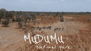 MUDUMU NATIONAL PARK  CAPRIVI  NAMIBIA 2020 [upl. by Sokram276]