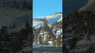 roadtrip to Lake Tahoe travel travelvlog snowfall usa laketahoe mountains nature [upl. by Theodoric]