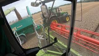 GoPro Cab view Weizen dreschen mit einem Claas Lexion 770 TT [upl. by Ttik]