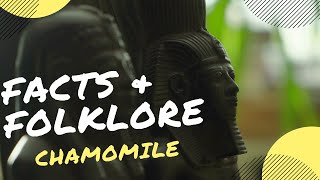 Chamomile Facts amp Folklore [upl. by Soluk113]