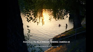 BLACKMAGIC CINEMA 6K  Sunday by the Danube [upl. by Perot]