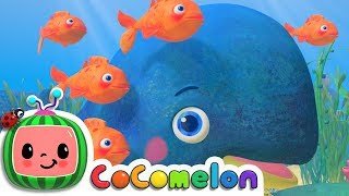 Baby Blue Whale Song  CoComelon Nursery Rhymes amp Kids Songs [upl. by Hazem215]