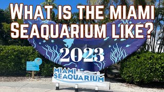 Miami Seaquarium Full Tour amp Review amp Shows 2023  What is it like  Things to do in Miami Florida [upl. by Oelc]