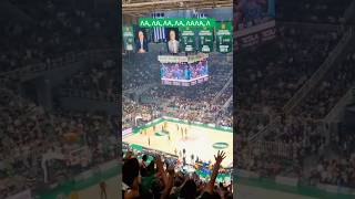 ☘️ ΣΤΑ ΑΣΤΕΡΙΑ ΘΕΛΩ ΓΗΠΕΔΟ panathinaikos paobc panathinaikosbc basketball euroleague [upl. by Ginsberg]