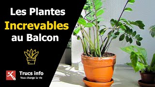 Les Plantes Increvables au Balcon [upl. by Guillemette]