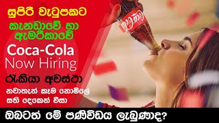 කැනඩාවේ Coca Cola සමාගමේ රැකියා අවස්ථා ලබාදෙන දැන්වීම් ඔබත් දුටුවාද Jobs in Coca Cola Canada [upl. by Smith]