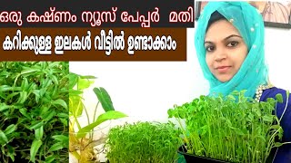 വിഷമില്ലാത്ത ഇലക്കറി കഴിക്കണോ മണ്ണും വളവും ഇല്ലാതെ നമ്മുടെ വീട്ടിൽ ഉണ്ടാക്കാം Microgreens [upl. by Tricia53]