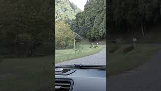 Ilha dos Açores A caminho da zona dos cozidos [upl. by Pengelly]