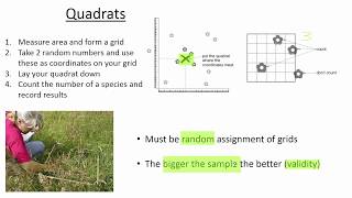 Quadrats [upl. by Yasu]