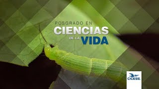 Posgrado en Ciencias de la Vida  CICESE [upl. by Immas]