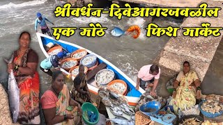 श्रीवर्धनदिवेआगरजवळचे एक मोठे फिश🐟मार्केट fishmarket bharadkholfishmarket diveagar shrivardhan [upl. by Fonseca]