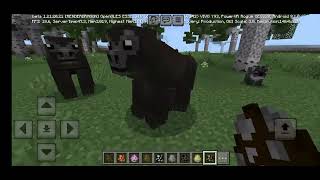 ANIMALS addon showcaseDOWNLOAD [upl. by Llednohs]