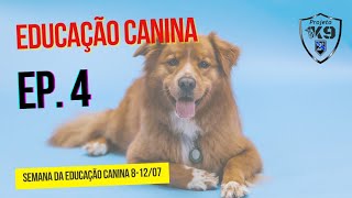 Educação Canina Ep 4 [upl. by Carper970]